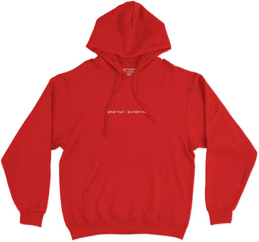 eternal sunshine [bordada] Hoodie